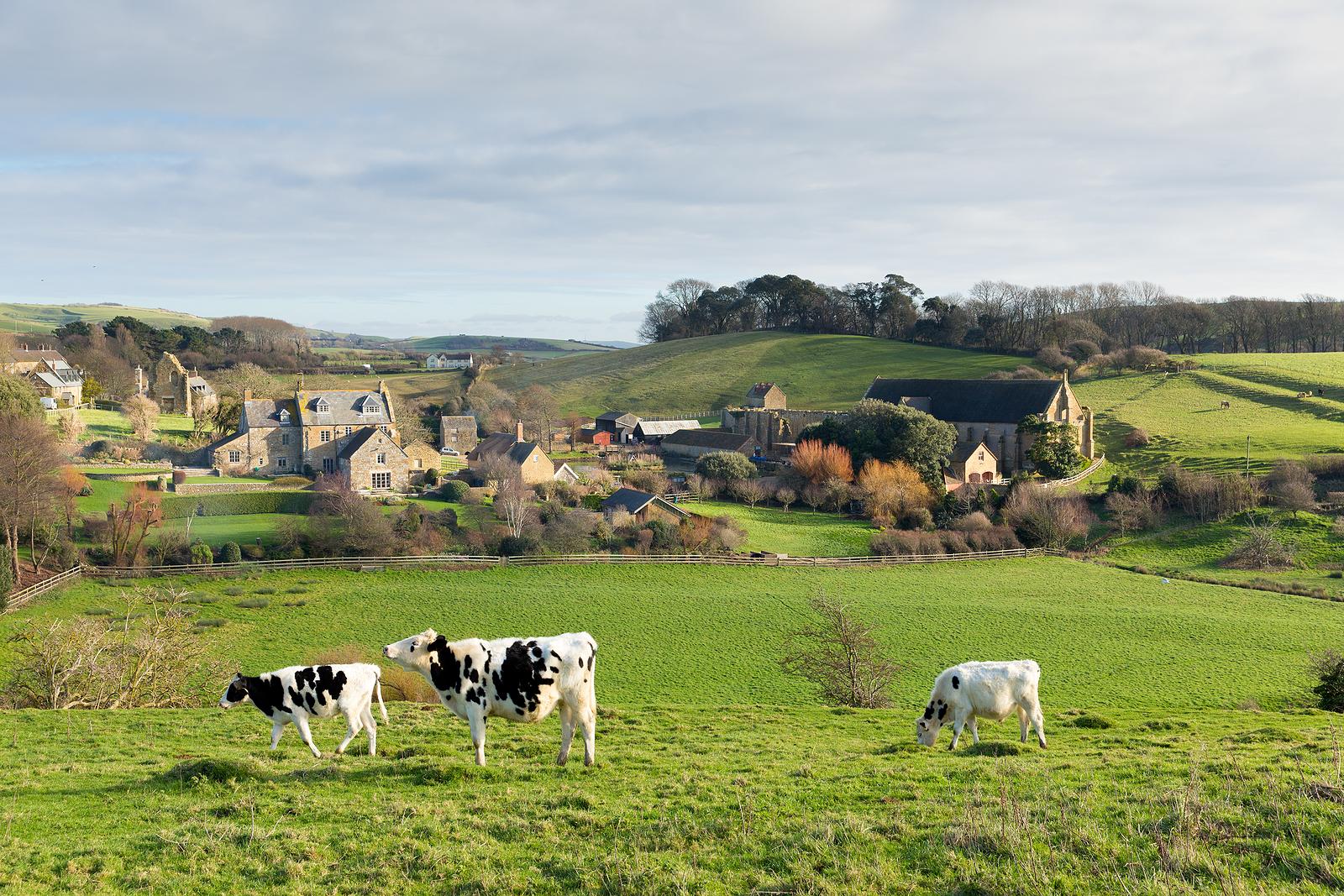 Abbotsbury village Dorset England UK known for its swannery, sub